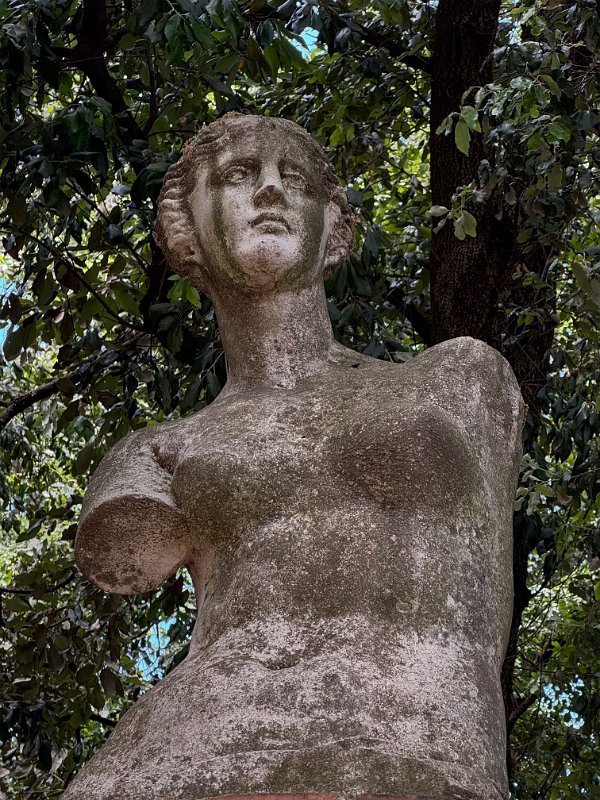 DSC_2413