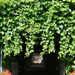 DSC_2284