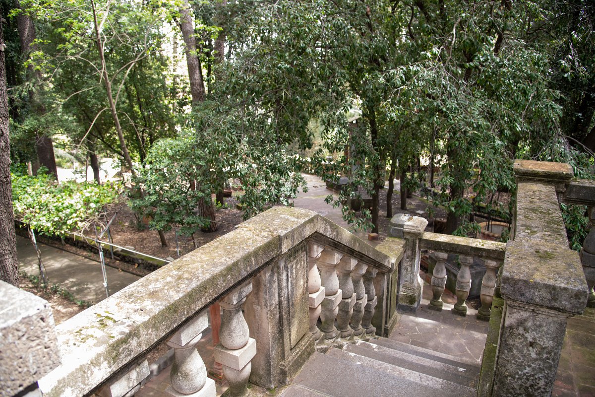 DSC_4675